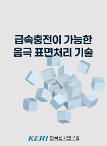 급속충전이 가능한 음극 표면처리 기술